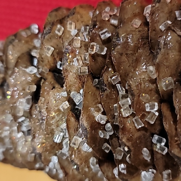 Very Large Pine Cones - Picture 7 of 7